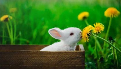 阿森纳球员备战心态良好，信心百倍