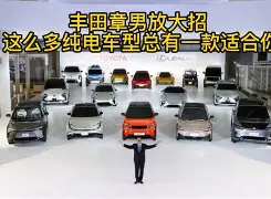 平博体育-这次放大了她的短板(这次放大了她的短板英文)